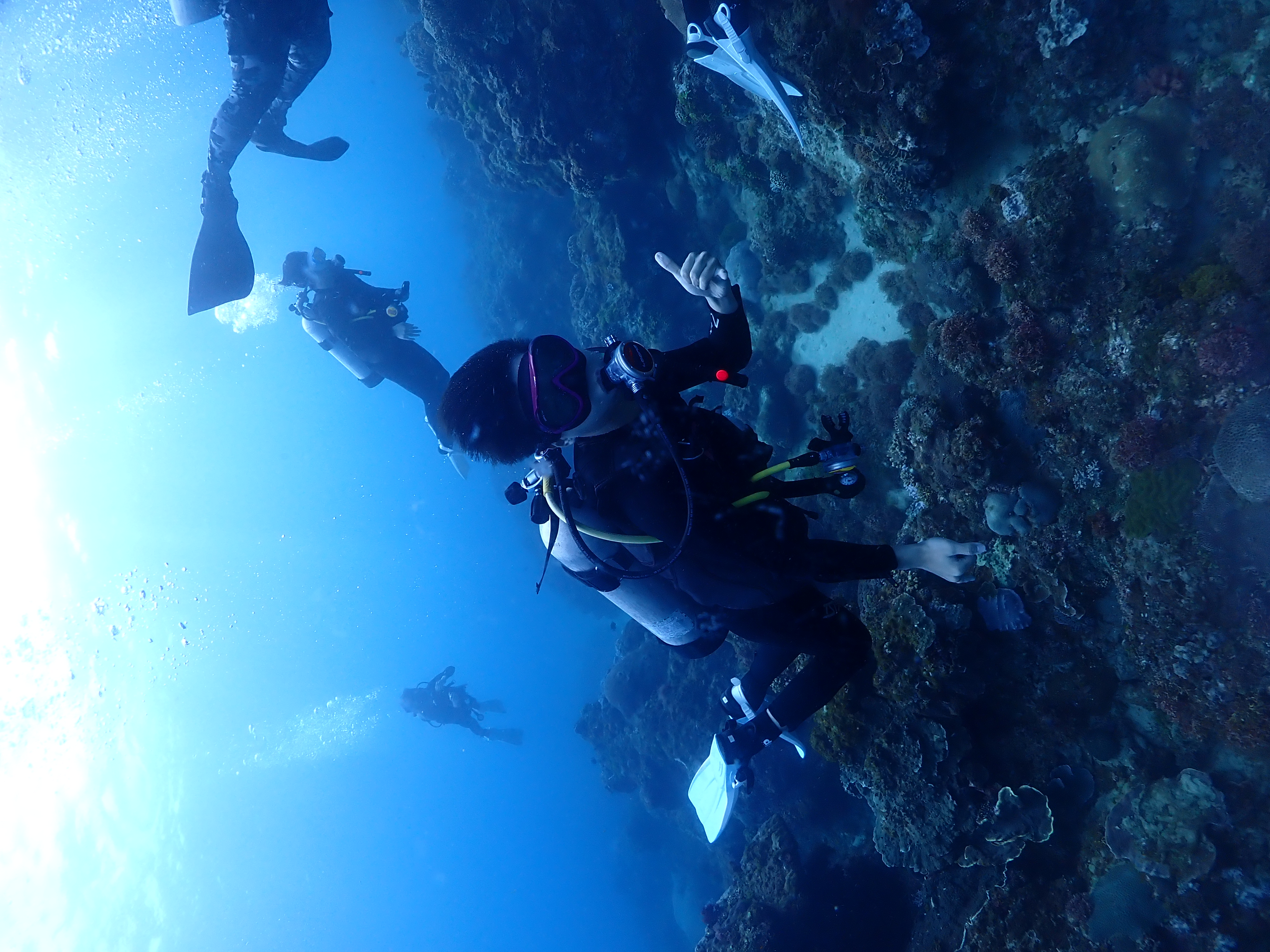 Scuba Diving photo 4